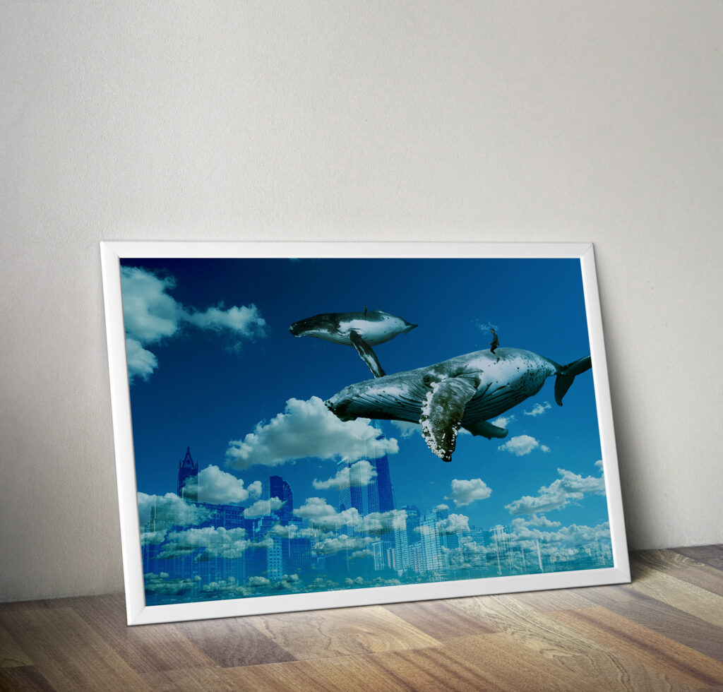 7cb40b236341011.68e970ffa97cb